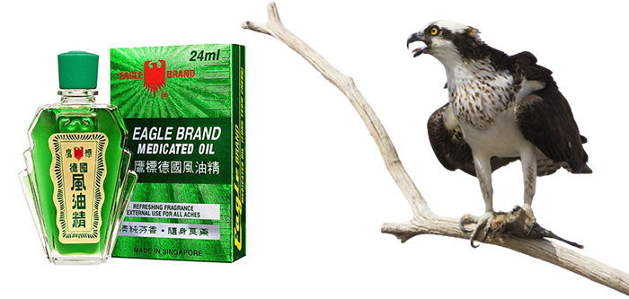 Dầu Gió Xanh Hiệu Con Ó 2 Nắp Singapore Chăm Sóc Cá Nhân-1