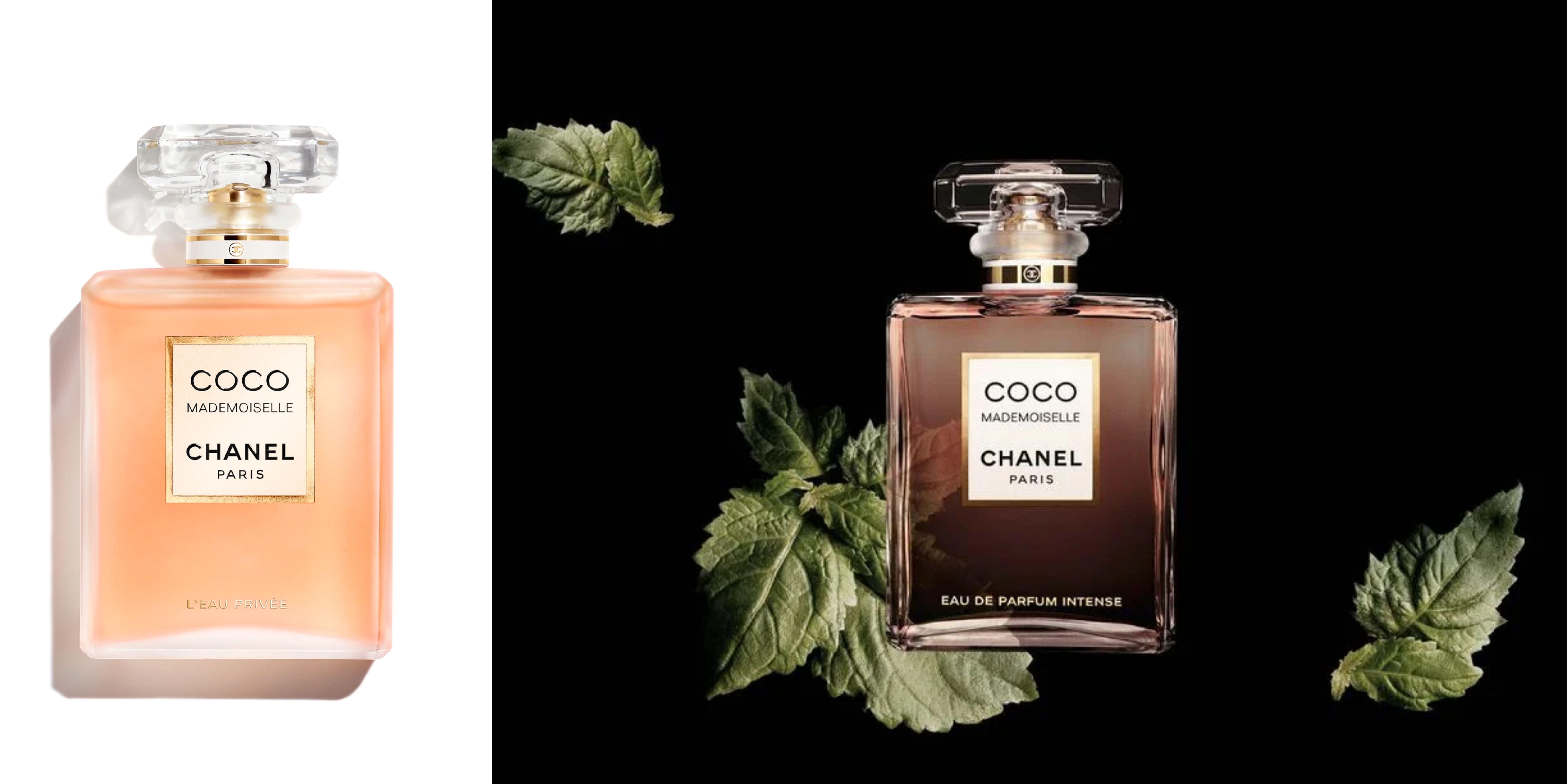 dep-moi-ngay-nuoc-hoa-chanel-coco-mademoiselle-intense-edp-tinh-hoa-sang-trong-va-cuon-hut-1097