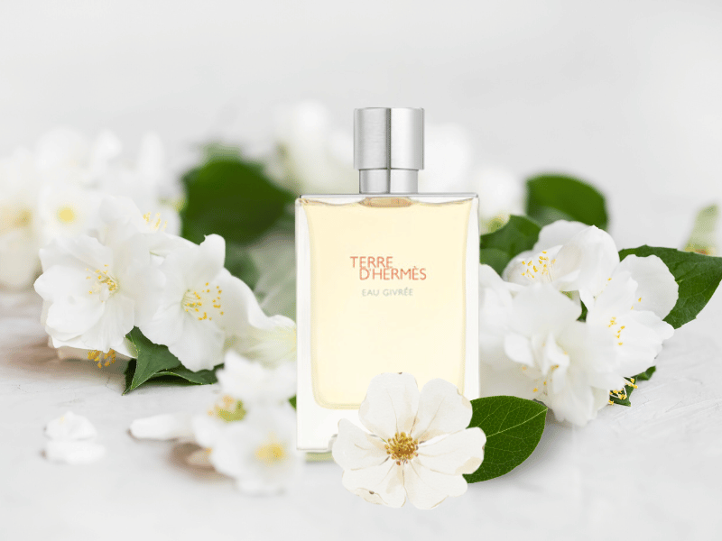 Nước Hoa Nam tính mạnh mẽ Hermes Terre D'Hermes Eau Givree EDP